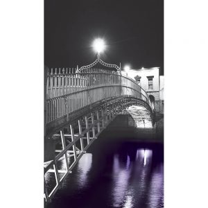 SG3697 hapenny bridge purple wash dublin ireland